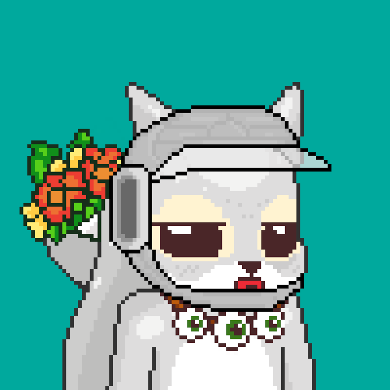 Pixel Squirrels #6775